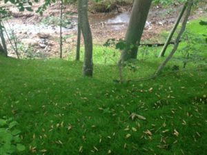 Erosion Control Erosion Control