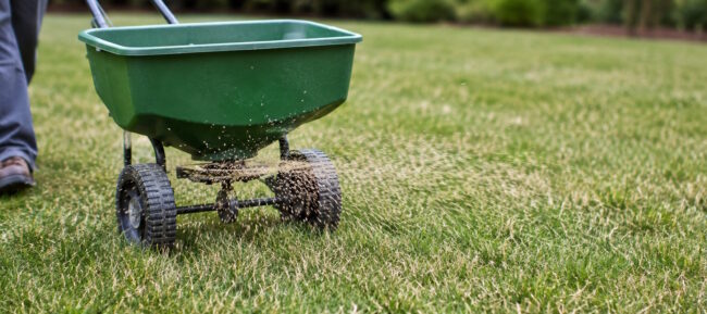 How to Overseed a Lawn in Fall How to Overseed a Lawn in Fall